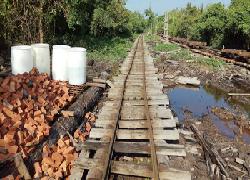 Diberitakan Babat Hutan Mainkan Izin, Ini Jawab Humas PT DRT