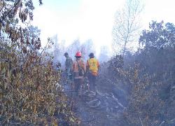 Koramil 02/Sui Pinyuh dan Tim Berjibaku Padamkan Lahan Warga
