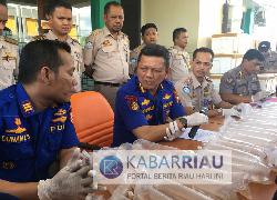 Penyelundupan Baby Lobster Senilai Rp11 M Digagalkan