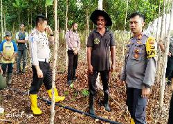 Hendra Gunawan Kunker ke Pembibitan Kayu Gerunggang