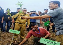 Tanam 1000 Pohon Gerunggang, IPMPL Dipuji Ketua DPRD Prov Riau