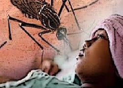 205 Pasien Penderita DB di Trenggalek, Ini Kata Dinkes