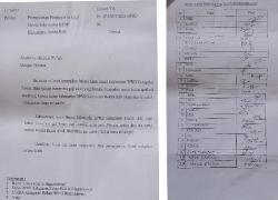 Miris...Empat Bulan Gaji Tidak Dibayar! 29 Tenaga Honorer Dirohil Minta Kejelasan