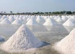 Harga Garam Anjlok, SEGARA Minta Pemerintah Ambil Langkah