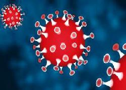 218 ASN Pemprov Jatim Terindikasi Reaktif covid-19